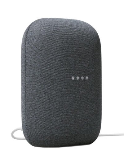 Google Nest Audio