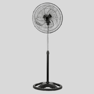 Fan
